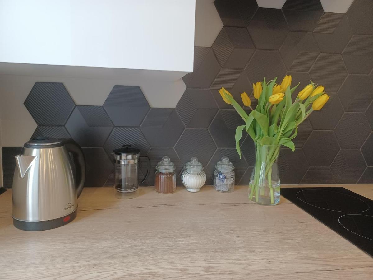 Apartament Piotrkowska 37 Studio Lodz  Luaran gambar