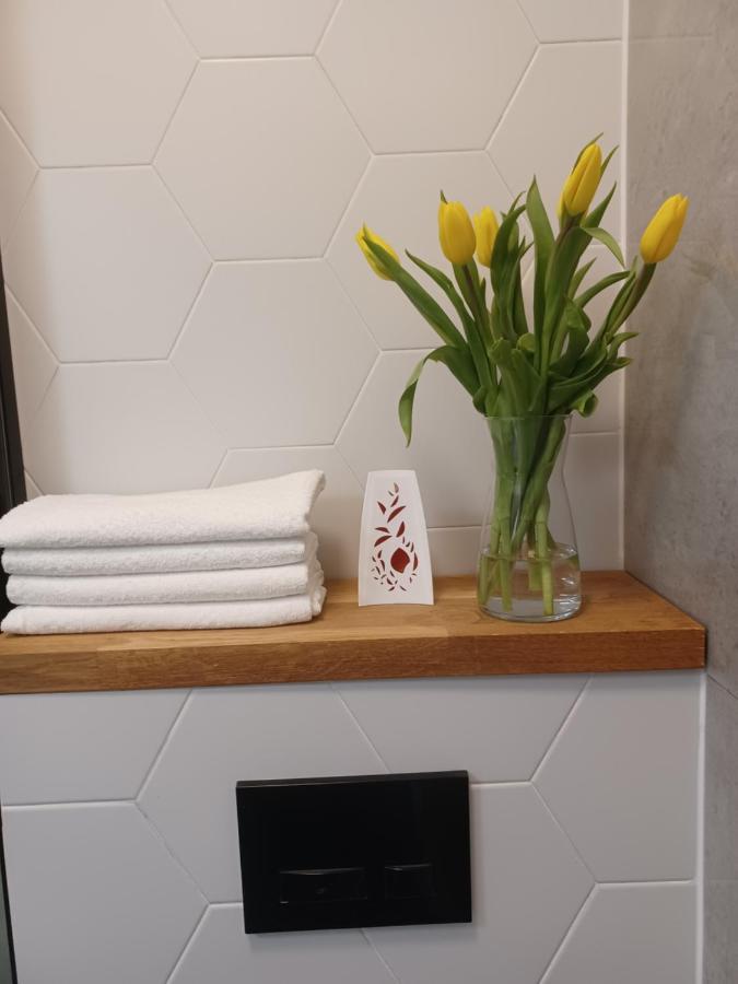 Apartament Piotrkowska 37 Studio Lodz  Luaran gambar