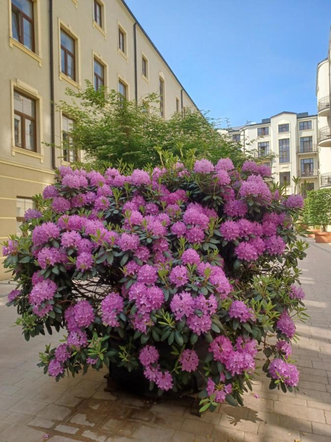 Apartament Piotrkowska 37 Studio Lodz  Luaran gambar