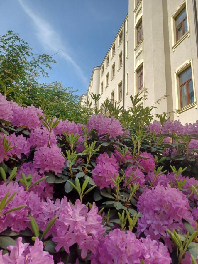 Apartament Piotrkowska 37 Studio Lodz  Luaran gambar